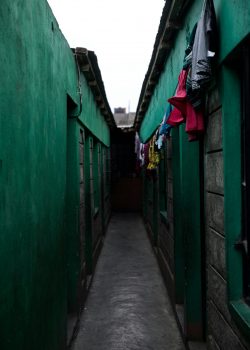 sean-lee-kpbAgVG-WYs-unsplash sean-lee-kpbAgVG-WYs-unsplash